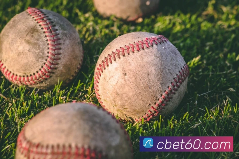 App功能展示图